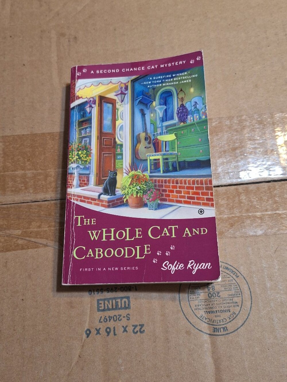 the whole cat and caboodle paperback